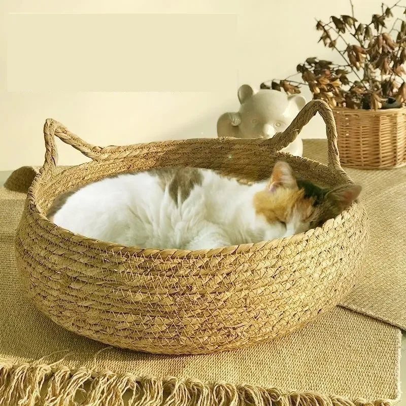 Gemütliches Katzennest Bett