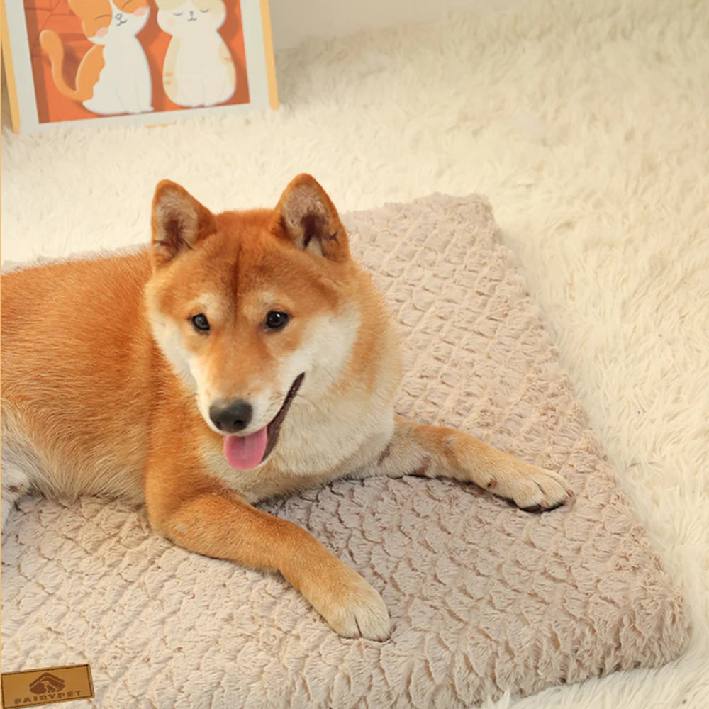 Memory Foam Haustiermatte