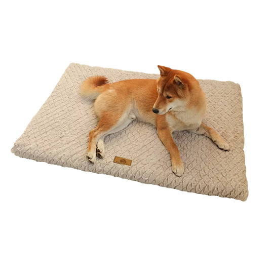 Memory Foam Haustiermatte